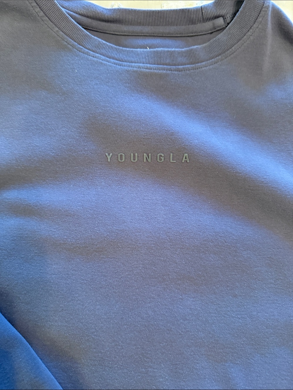 YoungLA Blue Crewneck Sweatshirt with Subtle Logo